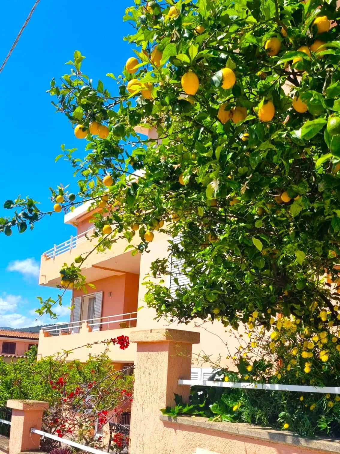 Casa Vacanze Mura กาลาโกโนเน ภายนอก รูปภาพ