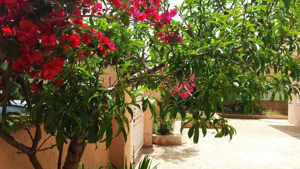Casa Vacanze Mura กาลาโกโนเน ภายนอก รูปภาพ