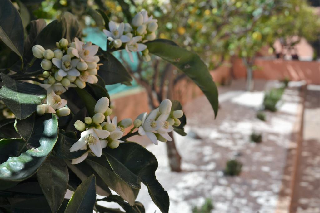 Casa Vacanze Mura กาลาโกโนเน ภายนอก รูปภาพ
